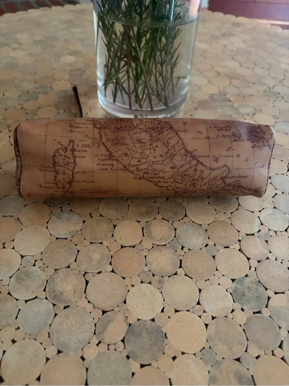 Patricia Nash Isla Oblong Leather Case on Map Print